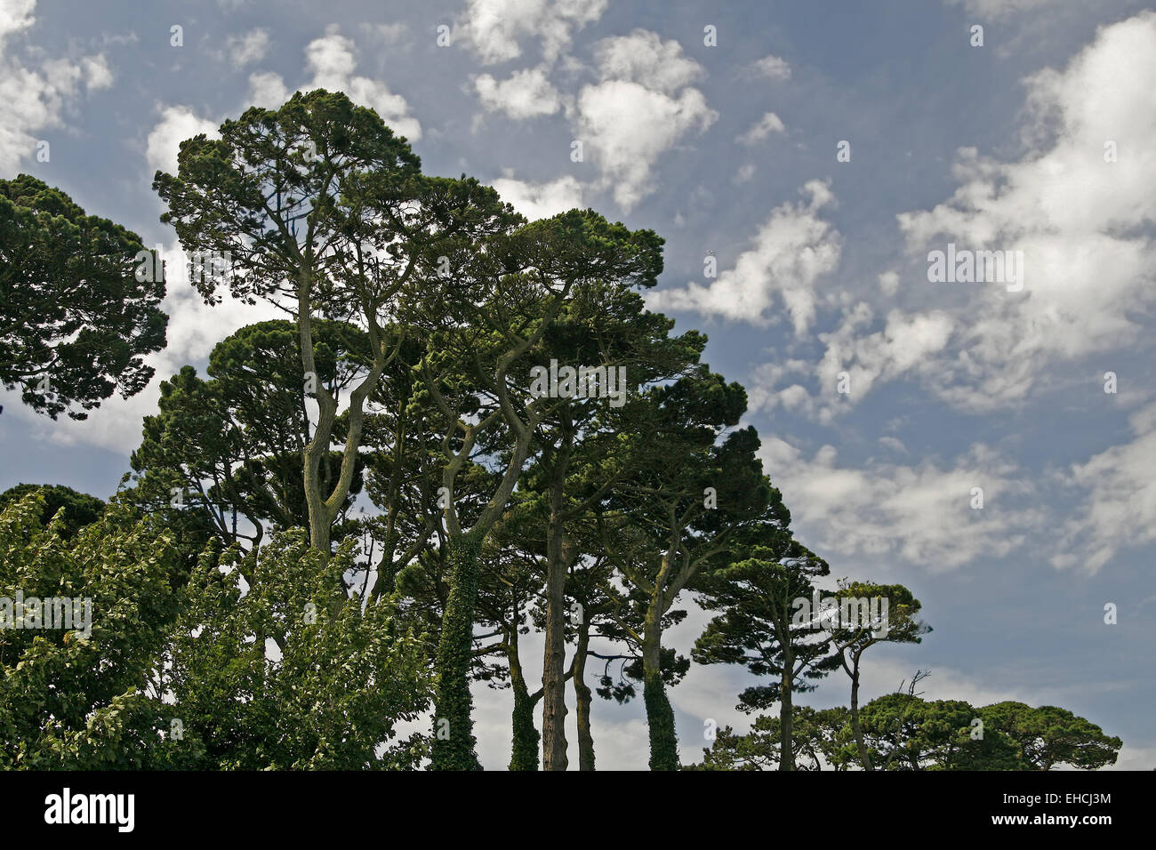 Fowey, Cornwall, en el suroeste de Inglaterra Foto de stock