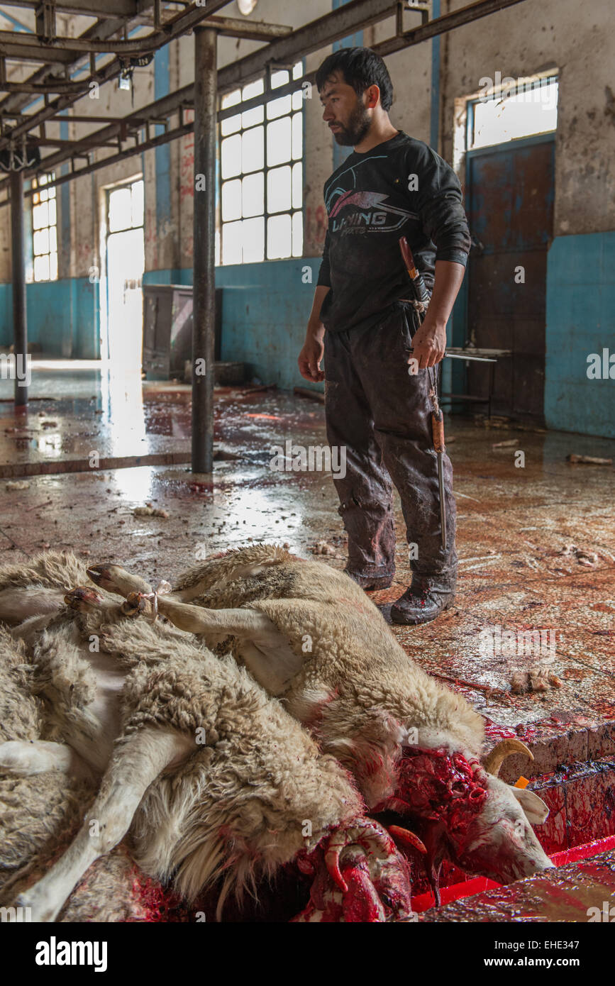 Hombre, matadero, Hotan, bazar, domingo Foto de stock