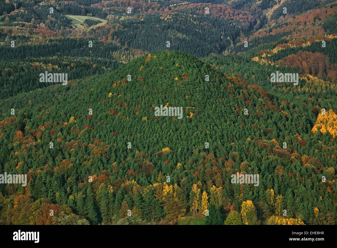 Maeuerle montaña cerca de Nothweiler, Alemania Foto de stock