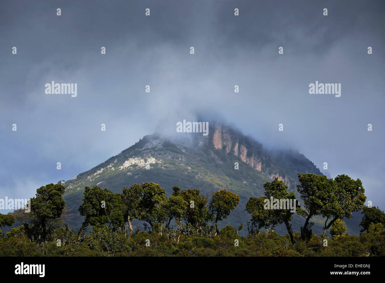 Montaña concial Urzulei, Cerdeña, Italia Foto de stock