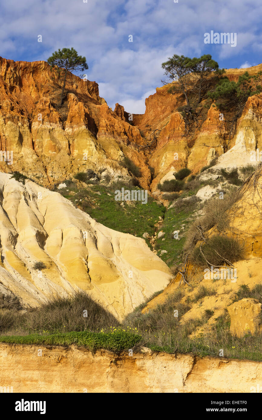 Falesia strand fotografías e imágenes de alta resolución Alamy