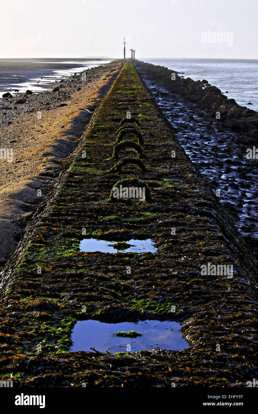 Pier en marea baja, Honfleur, Normandía, Francia Foto de stock