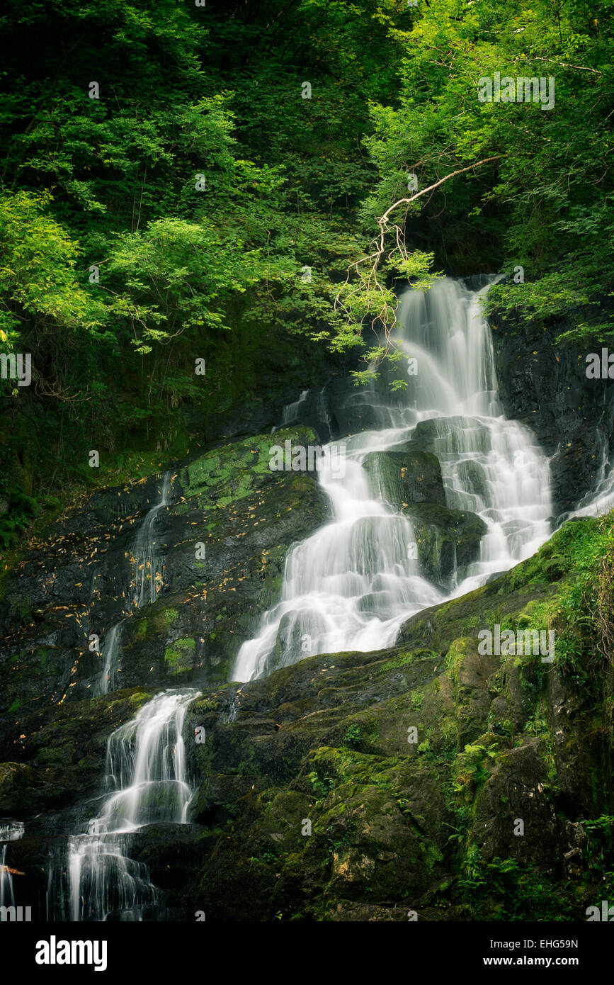 Par Falls, el Parque Nacional de Killarney, Irlanda. Foto de stock