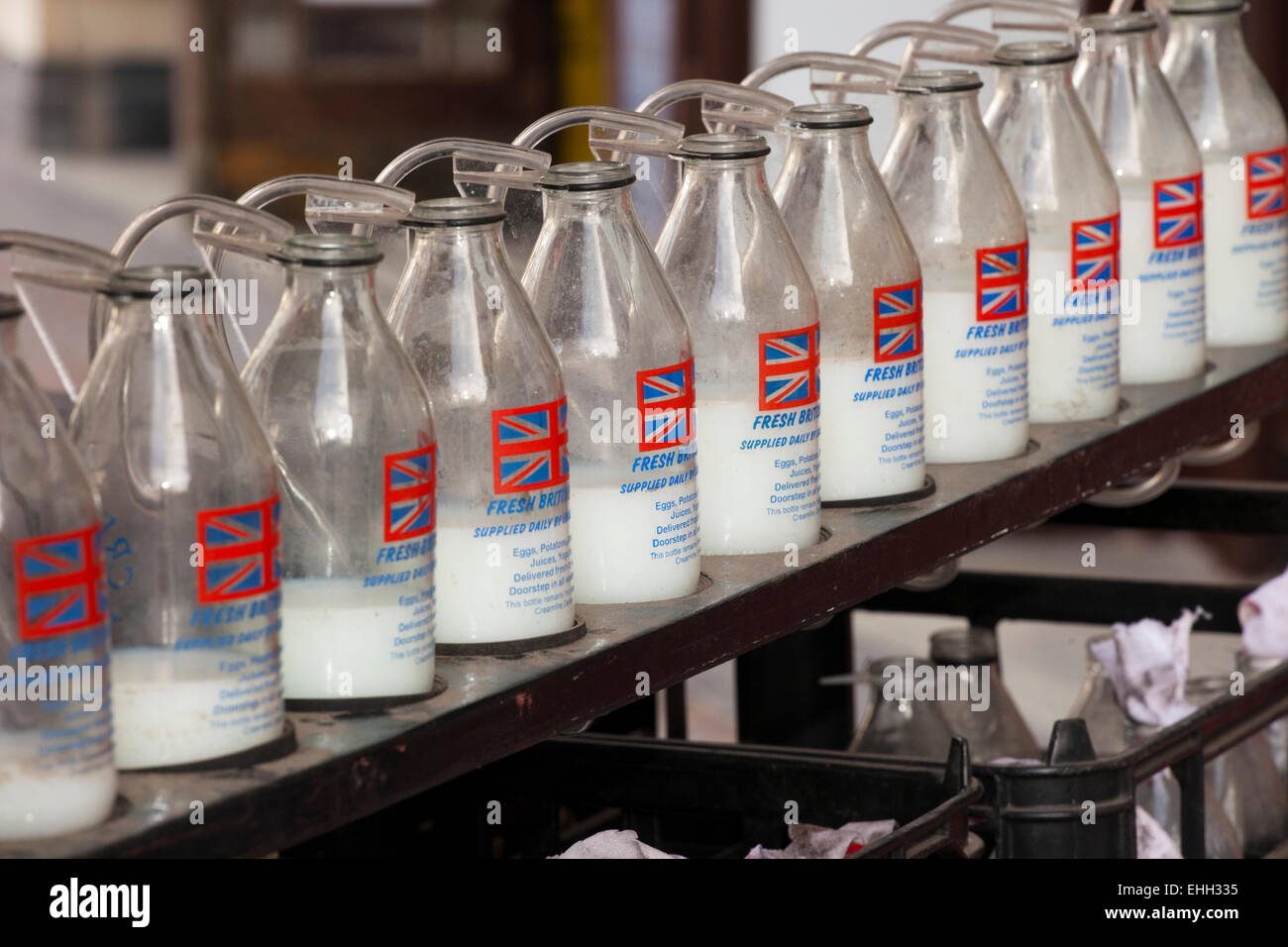 Botella de leche que contienen diferentes cantidades de líquido que se  utiliza para reproducir música; sintonizado botellas son instrumentos  musicales en la familia de percusión Fotografía de stock - Alamy