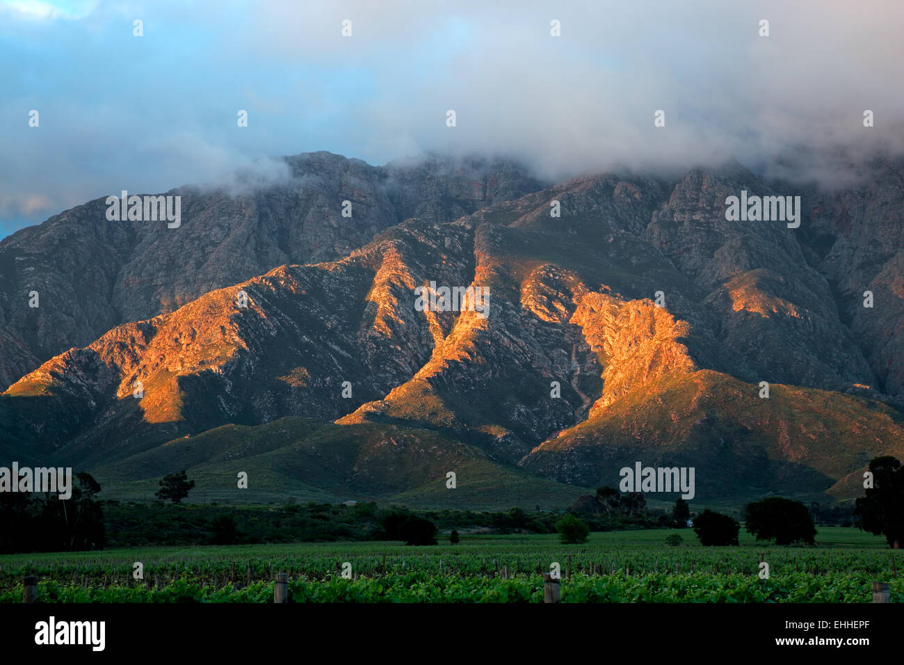 Pintoresco paisaje de montaña con viñedos, Western Cape, Sudáfrica Foto de stock