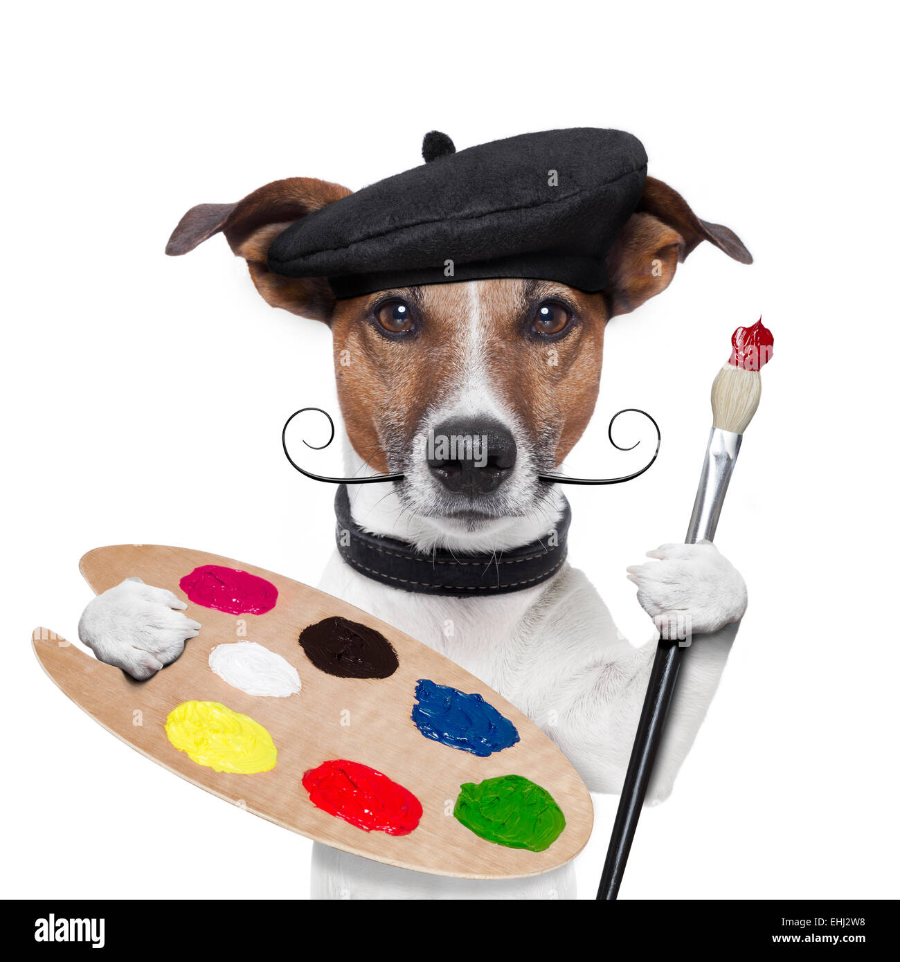 Perro artista pintor Fotografía de stock - Alamy
