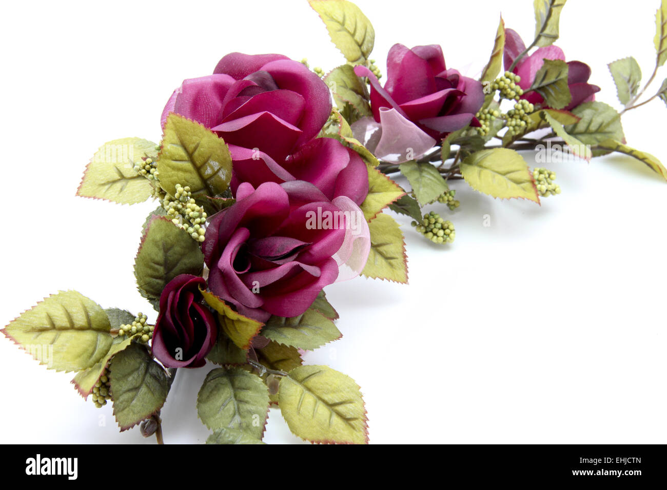 Rama rosa Foto de stock