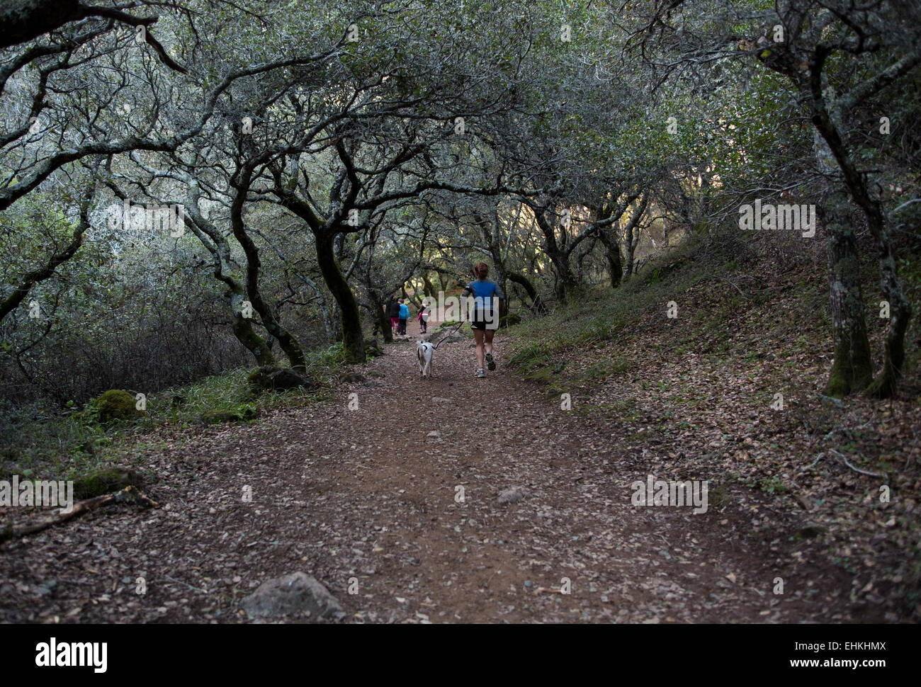 Mujer, perro, senderos, arroyo de San José, la Cascada Arroyo de San José, en Novato, Marin County, California Foto de stock