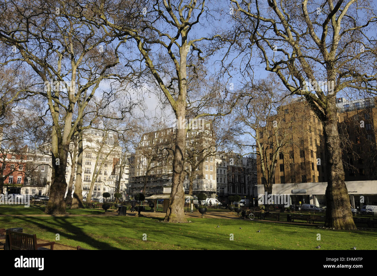 Berkeley Square en la época de invierno al West End de Londres, Inglaterra Foto de stock