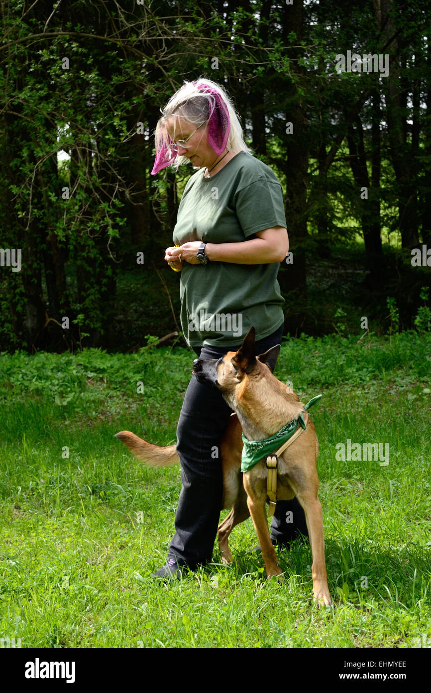 Adiestrador de Perros con perro Foto de stock