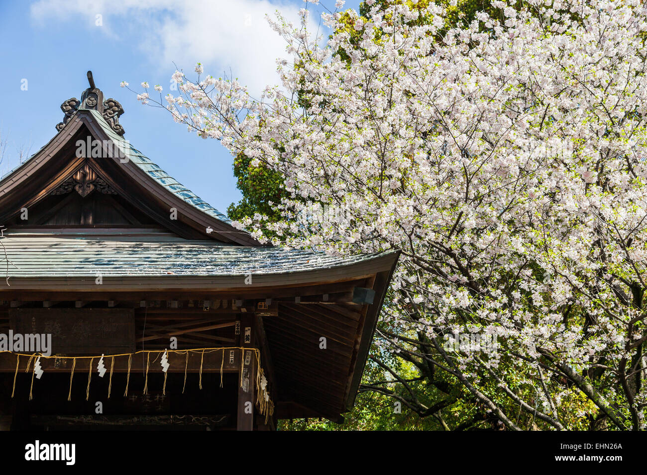 Templo en Japón. Foto de stock