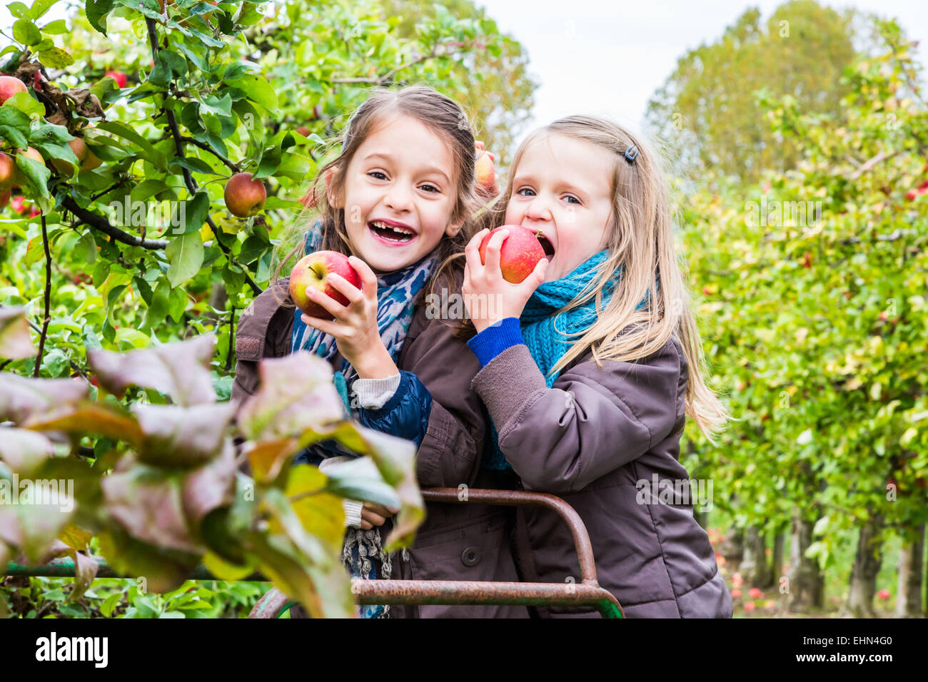 5 y 7 años de edad, las niñas. Foto de stock
