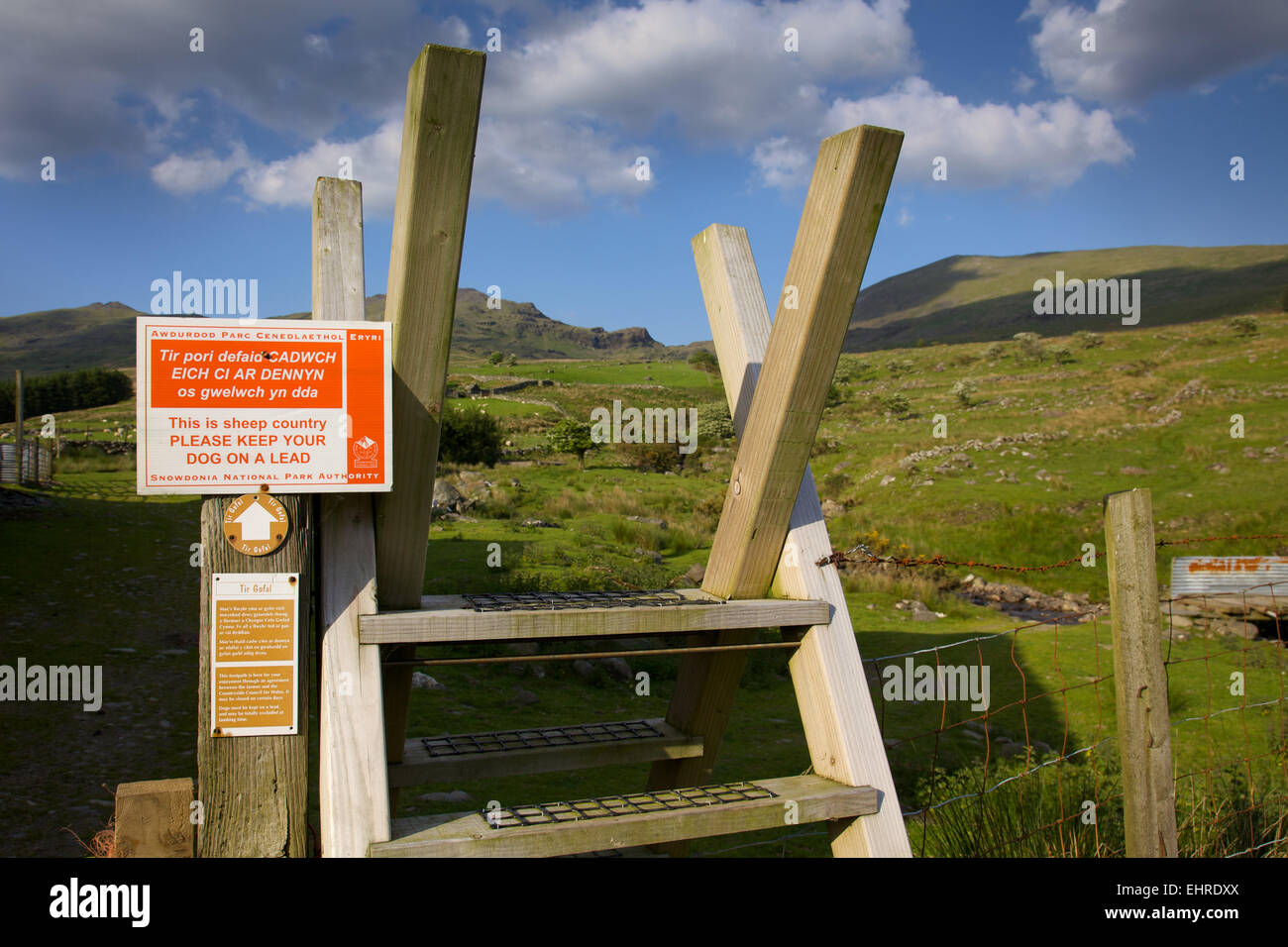 Gwynedd, el Parque Nacional de Snowdonia, Cwm Pennant, madera stile con 'Sheep' país firmar Foto de stock