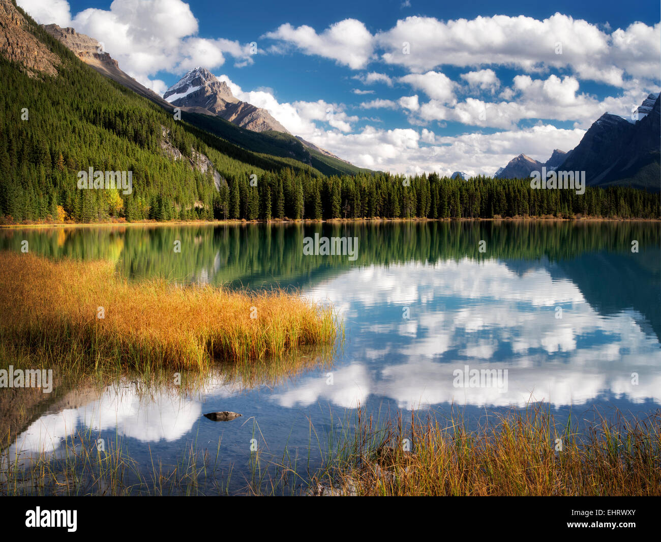 Las nubes y la reflexión de aves acuáticas en lagos. Parque Nacional de Banff. Alberta. Canadá. Foto de stock