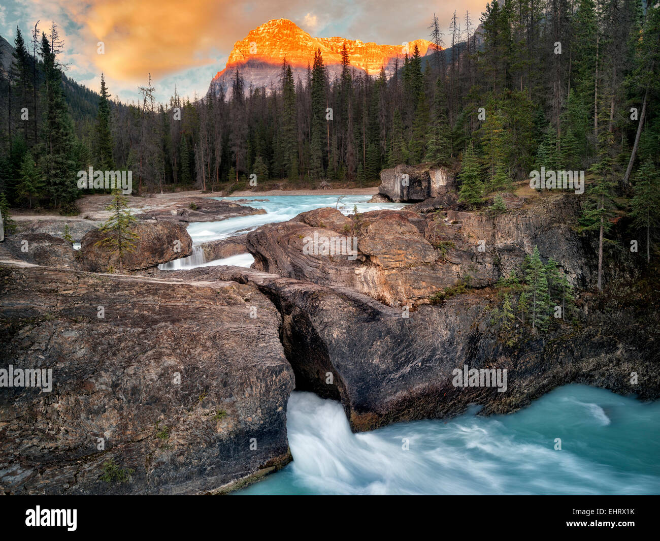 Río Kicking Horse y puente natural disminuye con la puesta de sol en British Columbia's Canadian Rockies y el Parque Nacional Yoho. Foto de stock