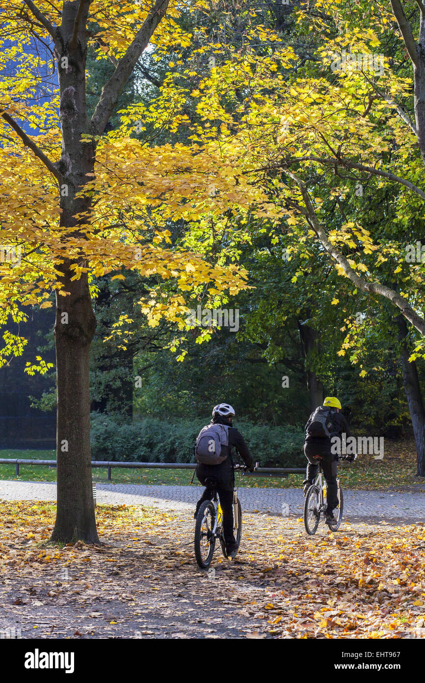 Paseo en Bicicleta de otoño Foto de stock
