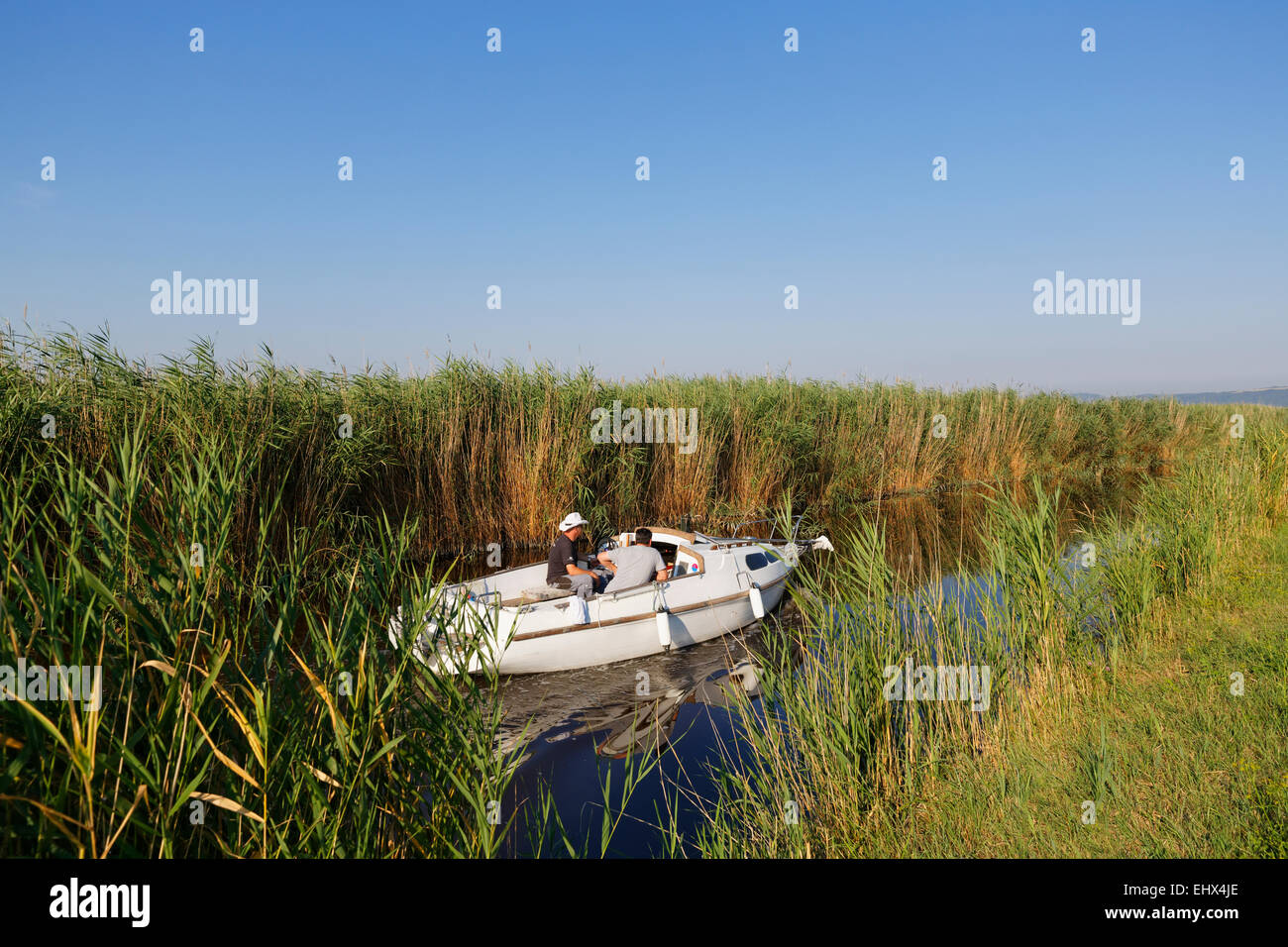 Austria, Burgenland, el Lago Neusiedl, lancha en Purbach Canal Foto de stock