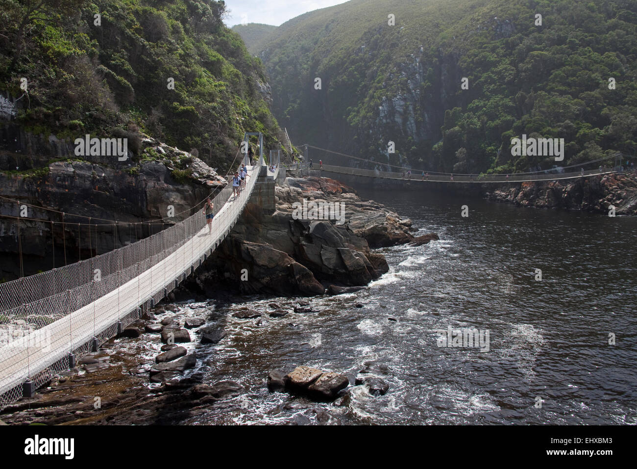 Puentes Colgantes en la desembocadura del río Storms, Parque Nacional Tsitsikamma, Sudáfrica Foto de stock