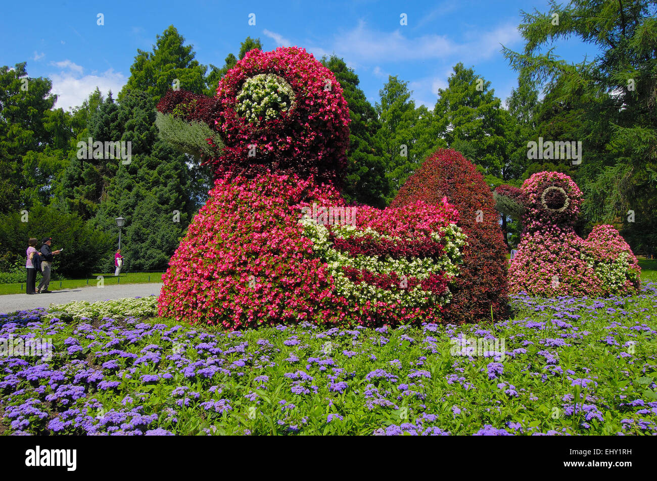 Isla de Mainau, Flores, Flores escultura, Baden-Wurtemberg, Alemania, el  lago de Constanza, Lago de Constanza, Europa Fotografía de stock - Alamy