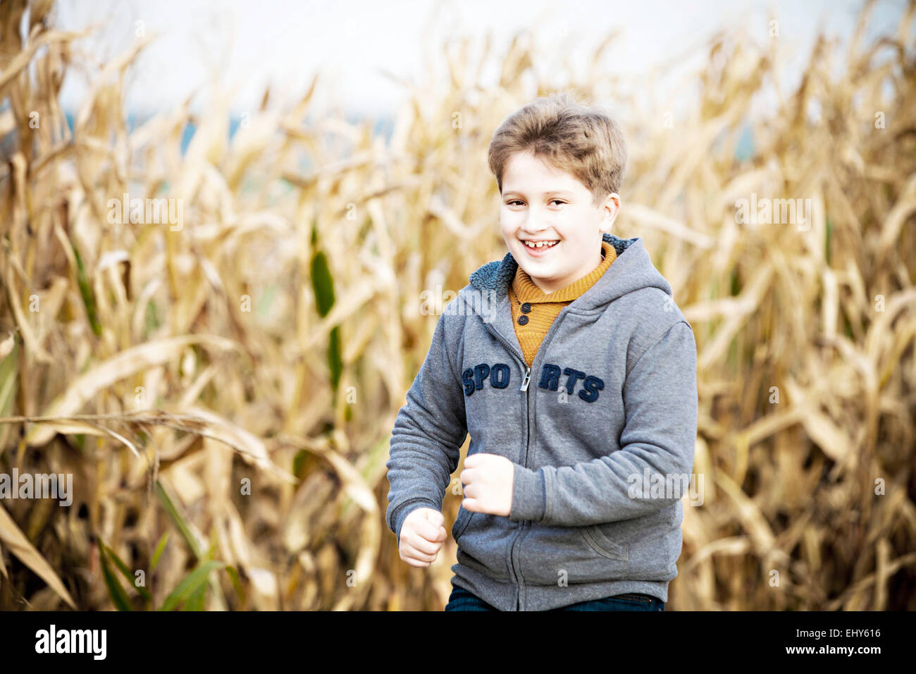 Niño de pie en campo de maíz Foto de stock