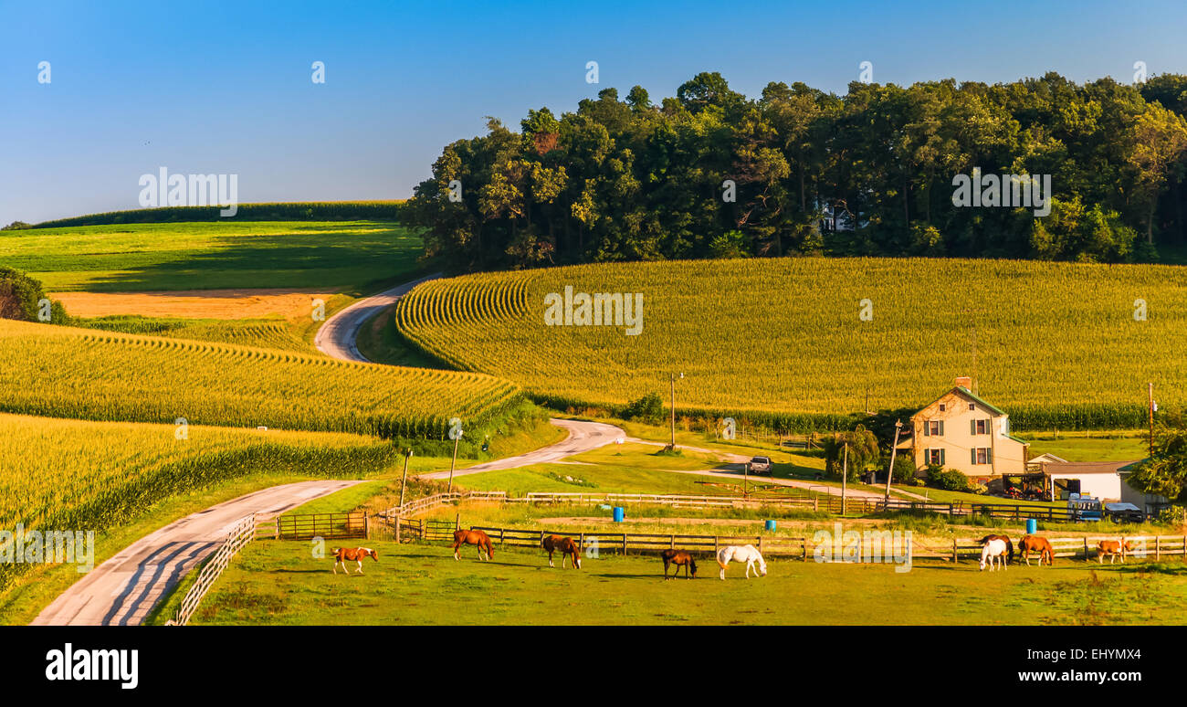 Granja de caballos y Country Road en una colina en la zona rural del Condado de York, Pennsylvania. Foto de stock