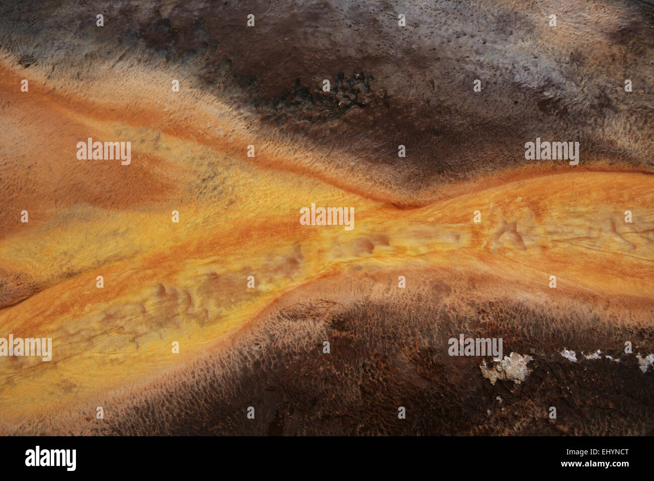 Mat bacteriana, Grand Prismatic Spring, el Parque Nacional Yellowstone, Wyoming, EE.UU. Foto de stock