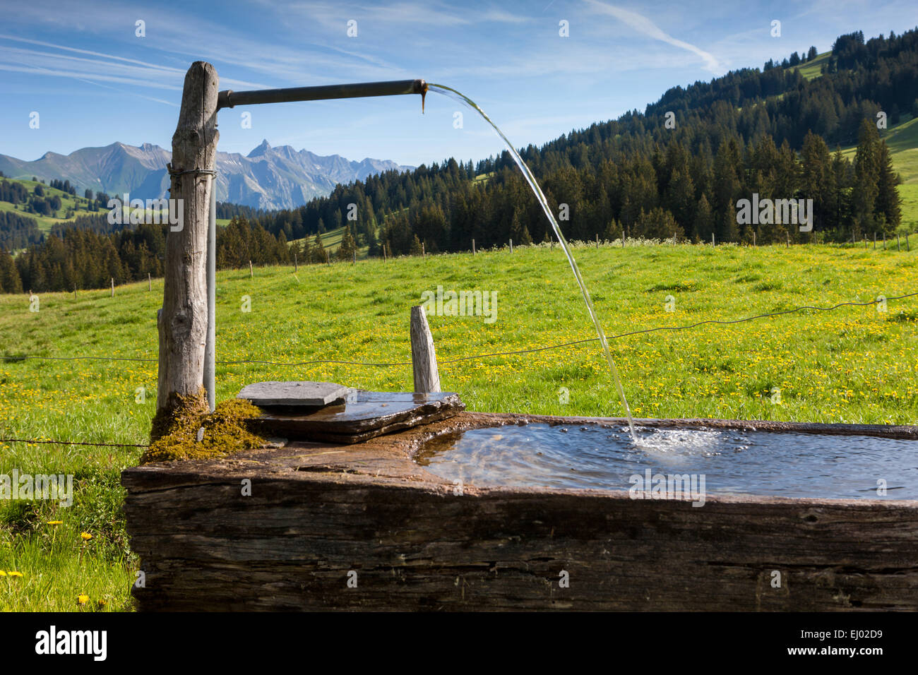 Mosses, Suiza, Europa, cantón de Vaud, Pays d'Enhaut, bien Foto de stock