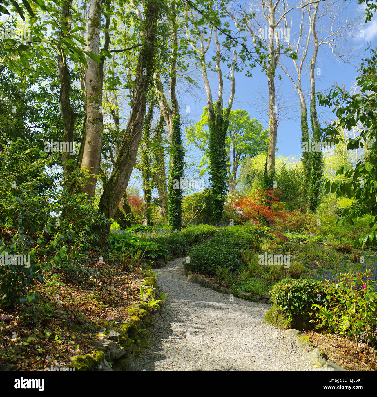 Jardín, Plas Cadnant, Puente Menai, Anglesey, al noroeste de Gales Foto de stock