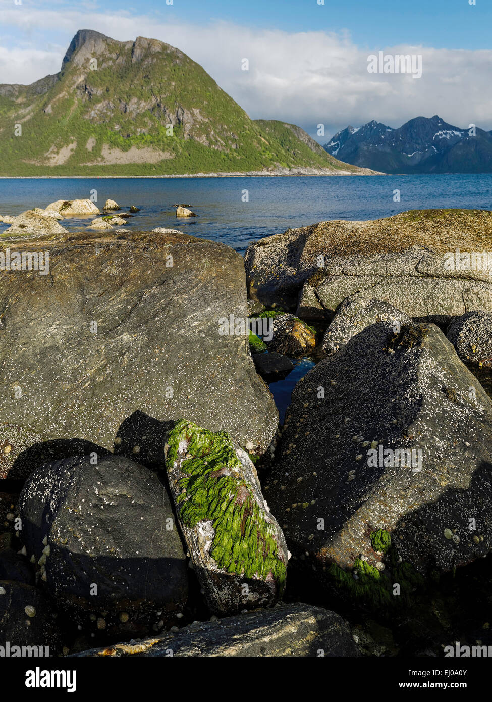 Alga, rock, acantilados, fiordos, montañas, alga verde, Grunnfarnes, costa, costales, rango, el paisaje, el paisaje, el mar, el Mar del Norte, Noruega, E Foto de stock