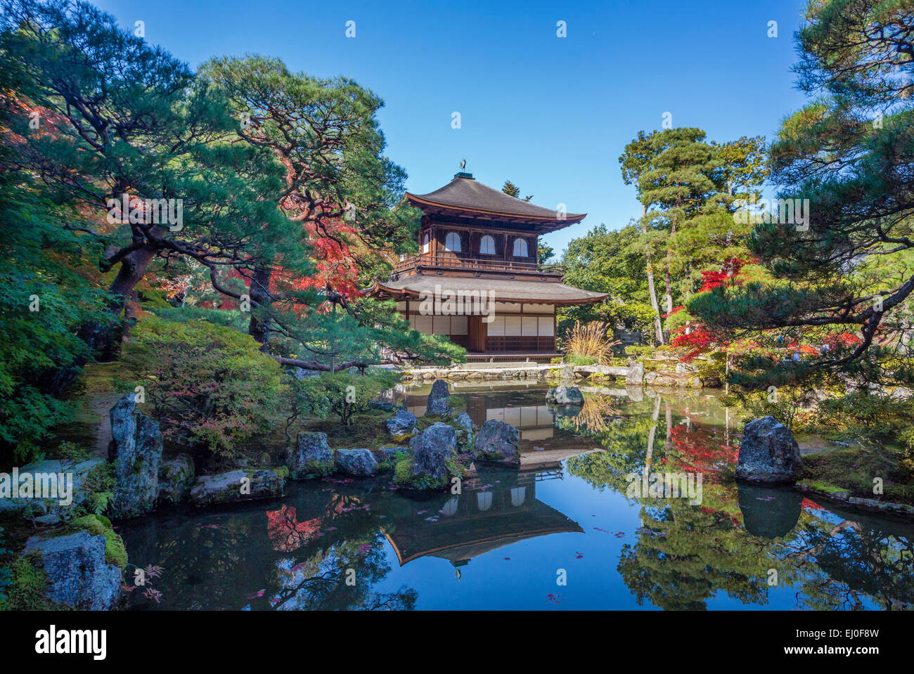 Patrimonio de la humanidad, el Ginkaku-ji, Japón, Asia, Kansai, Kyoto, Japón, paisaje, arquitectura, colorido, caída, jardín, casa, momiji Foto de stock