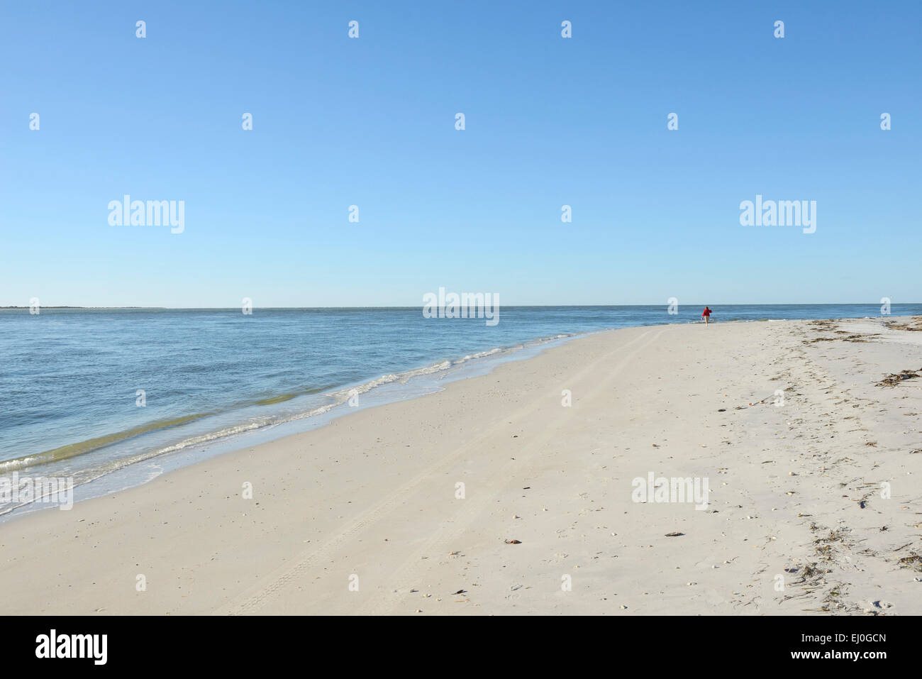 Ee.Uu., Florida, Charlotte y el condado de Lee, la isla Gasparilla, Lone mujer caminar sobre la playa vacía Foto de stock