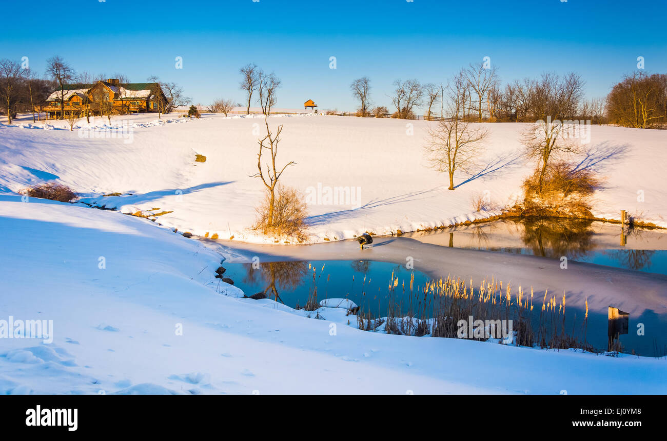 Vista invernal de un estanque en la zona rural del Condado de York, Pennsylvania. Foto de stock