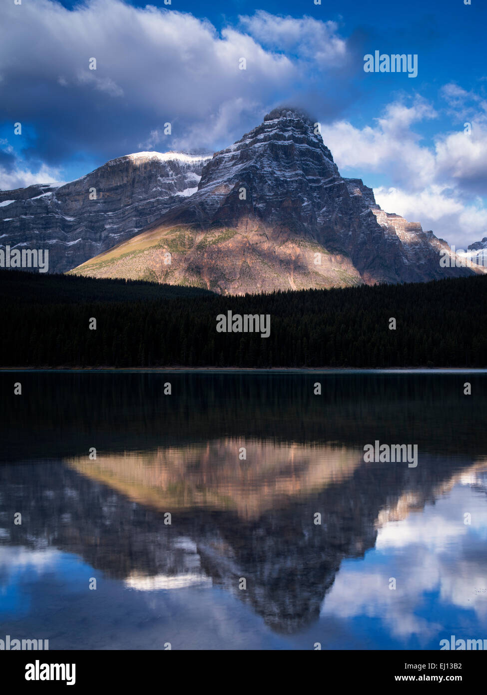 Las aves acuáticas de lagos y montañas con reflexiones. Parque Nacional de Banff, Alberta, Canadá. Foto de stock