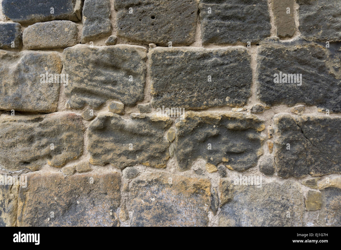 Detalle de cerca de una antigua pared de piedra arenisca marrón Bramley Fall en Kirkstall Abbey, Leeds, West Yorkshire, Inglaterra Foto de stock