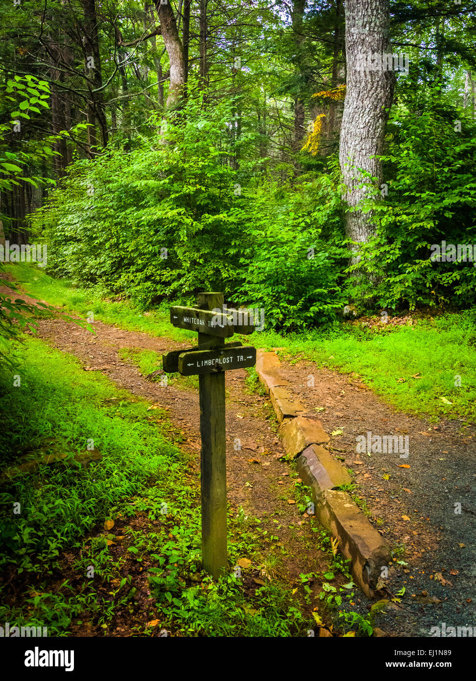 Marcador Limberlost Trail a lo largo del sendero, en el Parque Nacional Shenandoah, Virginia. Foto de stock