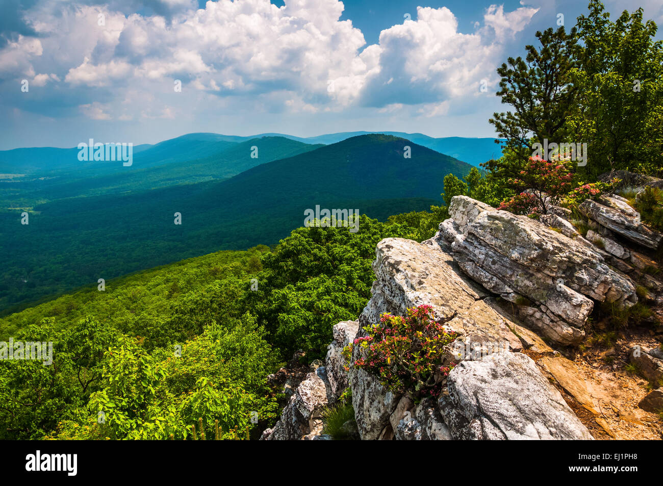 Vista de la Trucha ejecutar valle desde Tibbet Perilla, en George Washington National Forest, West Virginia. Foto de stock