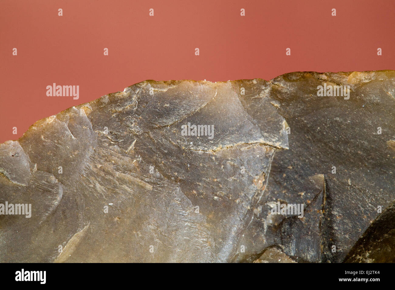 El borde afilado de una trabajada a mano (knapped) Herramienta de piedra de sílex o cuarzo por indios prehistóricos del desierto arcaico P Foto de stock