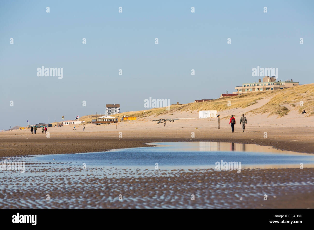 Playa, Costa del Mar del Norte, Bergen aan Zee, Holanda Septentrional, Holanda, Foto de stock