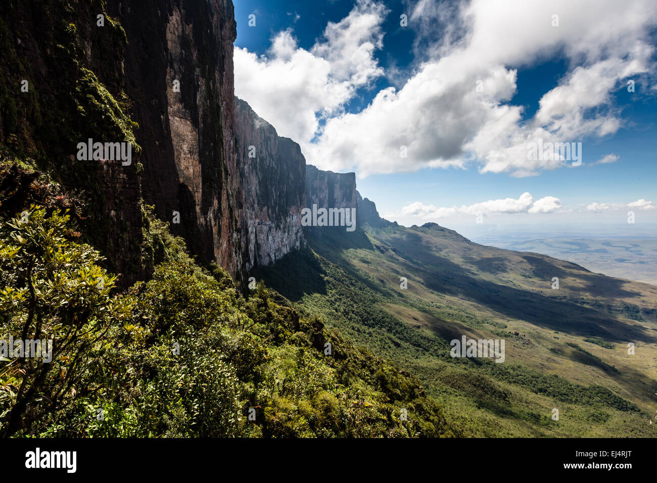 Vista desde la meseta de Roraima a la Gran Sabana - Venezuela, región  América del Sur Fotografía de stock - Alamy