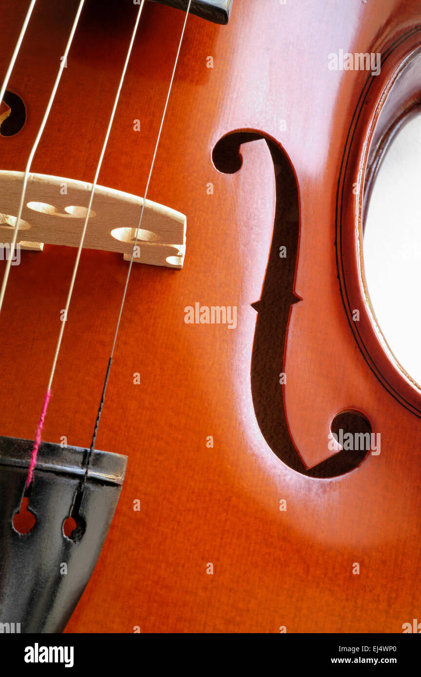 Instrumentos musicales violin closeup mostrando el puente Fotografía de  stock - Alamy