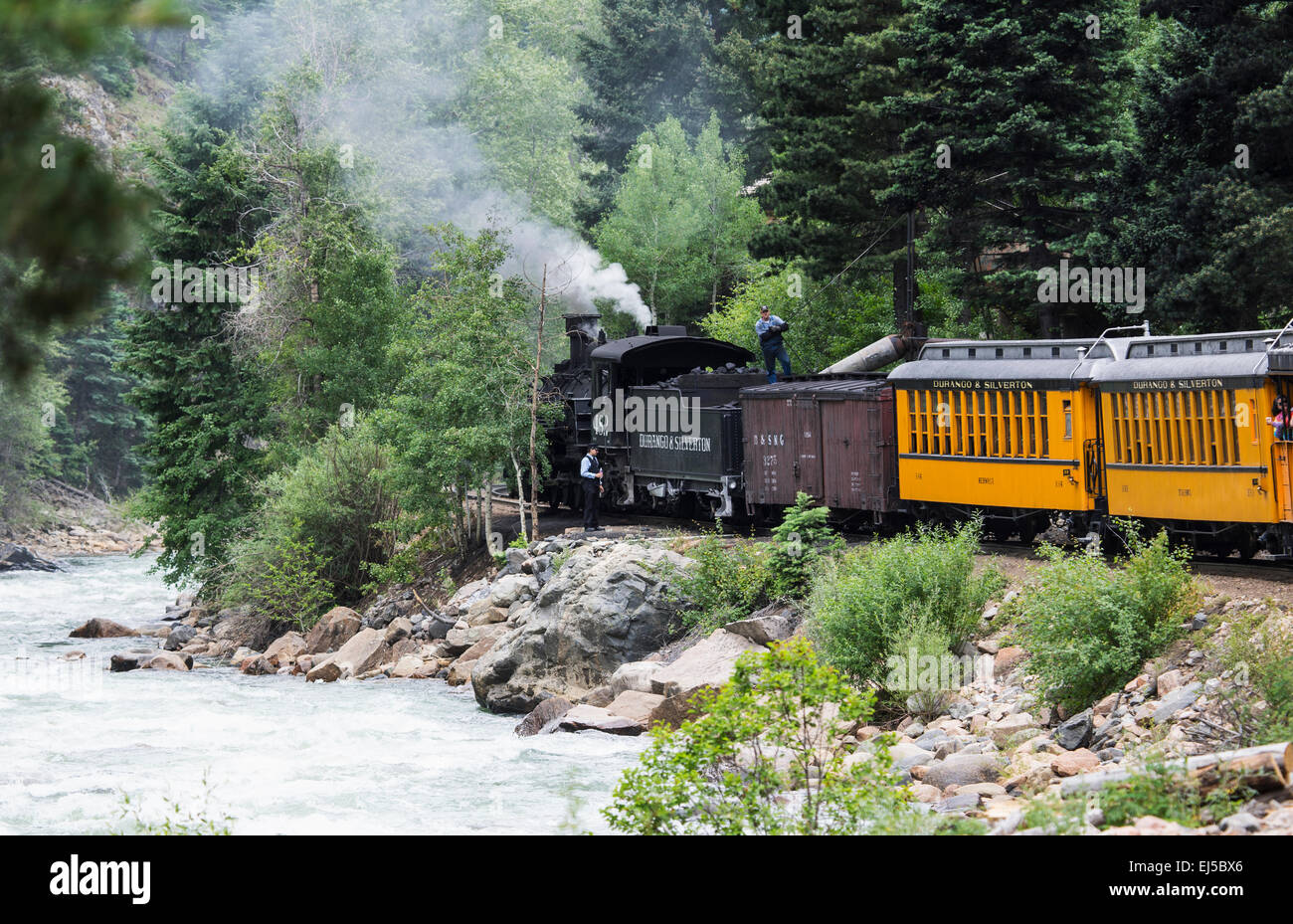 La Durango y Silverton Narrow Gauge Railroad locomotora a vapor que viaja a lo largo de Río Animas, Colorado, EE.UU. Foto de stock