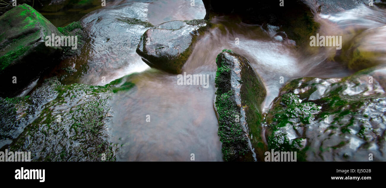 Arroyo de agua fresca y una pequeña cascada. Cerca Dallowgill Masham, North Yorkshire, Inglaterra, Reino Unido. Foto de stock