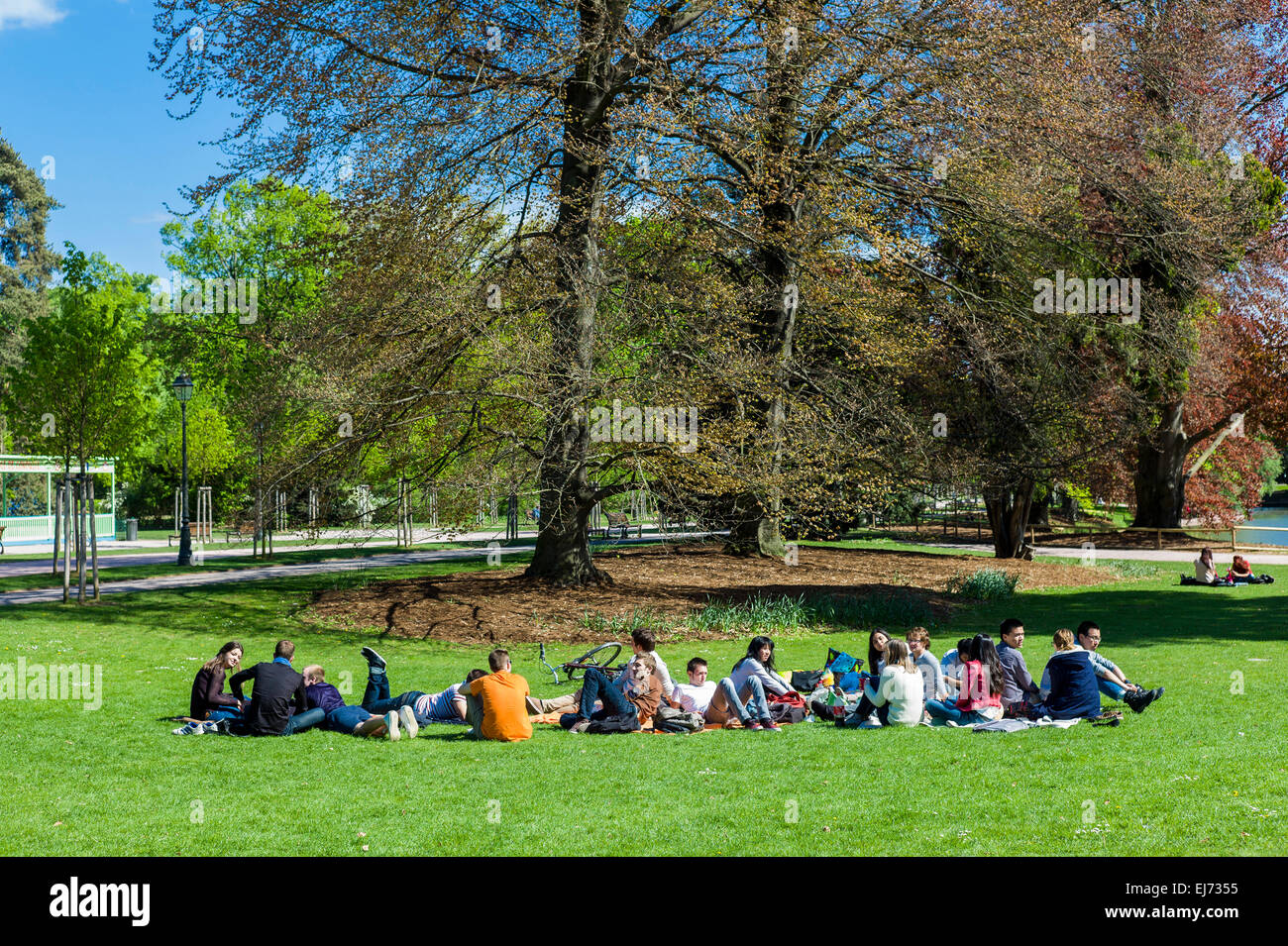 Grupo de jóvenes relajándose en el Parc de l'Orangerie park Strasbourg Alsace Francia Europa Foto de stock