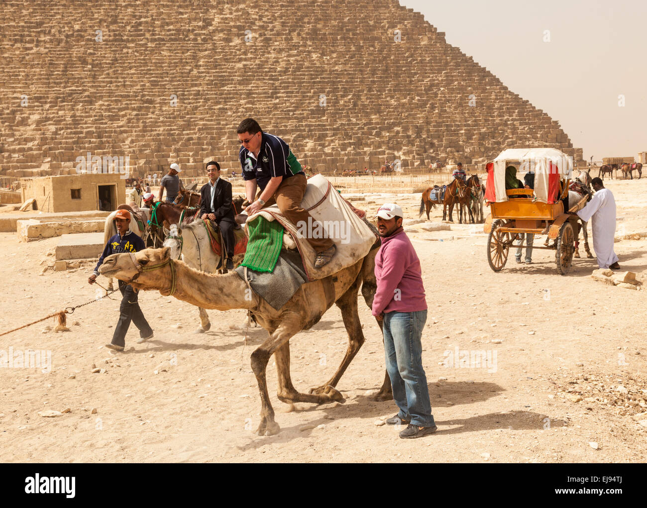Luchas turística para andar en camello por las pirámides Foto de stock