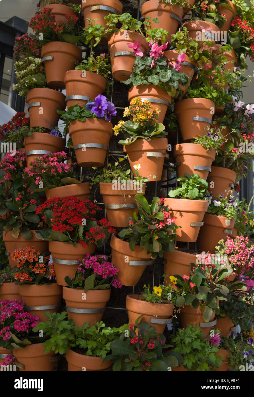 Saliente perfume popurrí Macetas llenas de flores fotografías e imágenes de alta resolución - Alamy