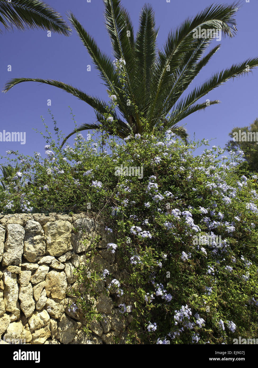 Mallorca Foto de stock