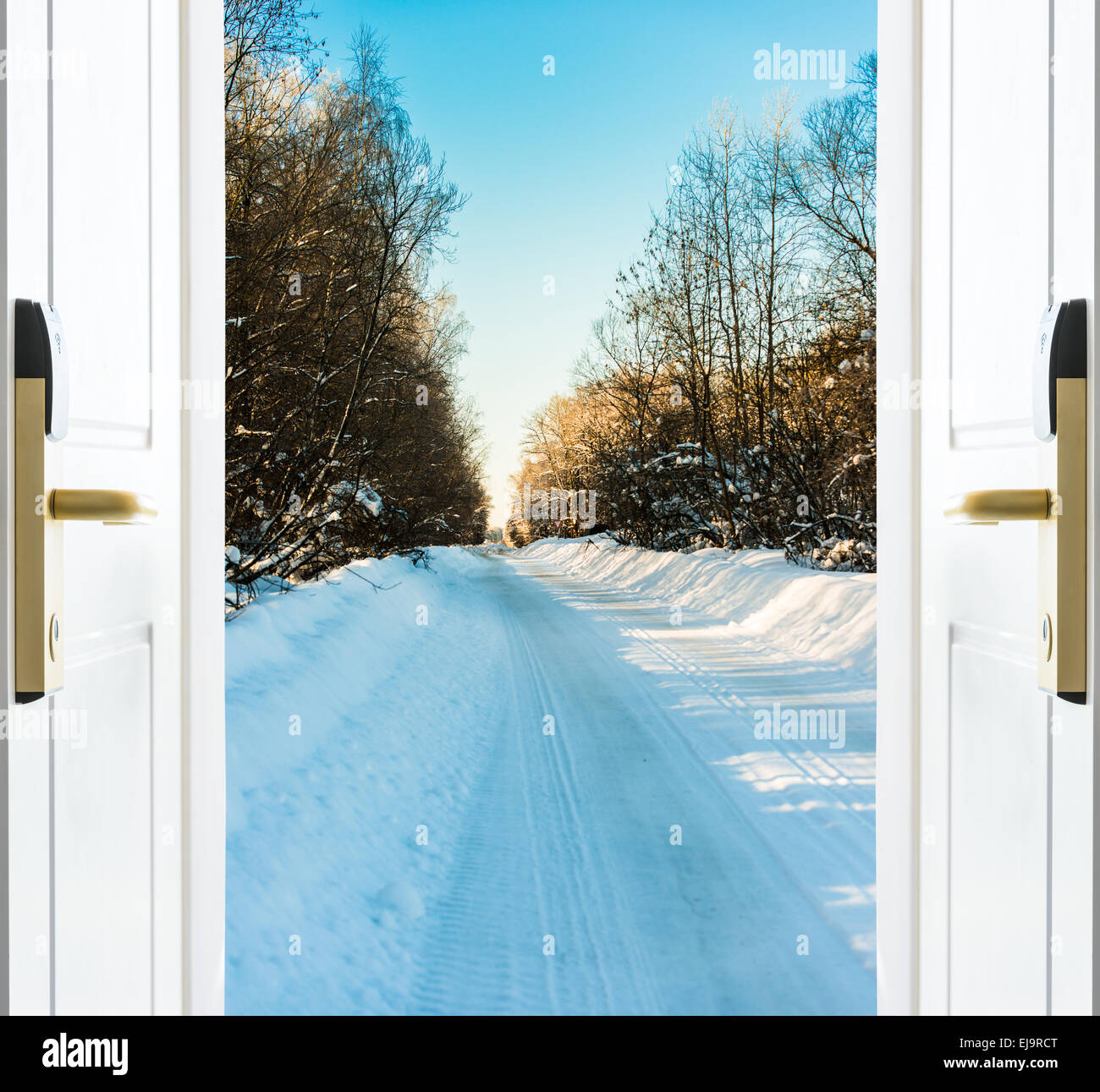 Abra la puerta y un bosque de invierno Foto de stock