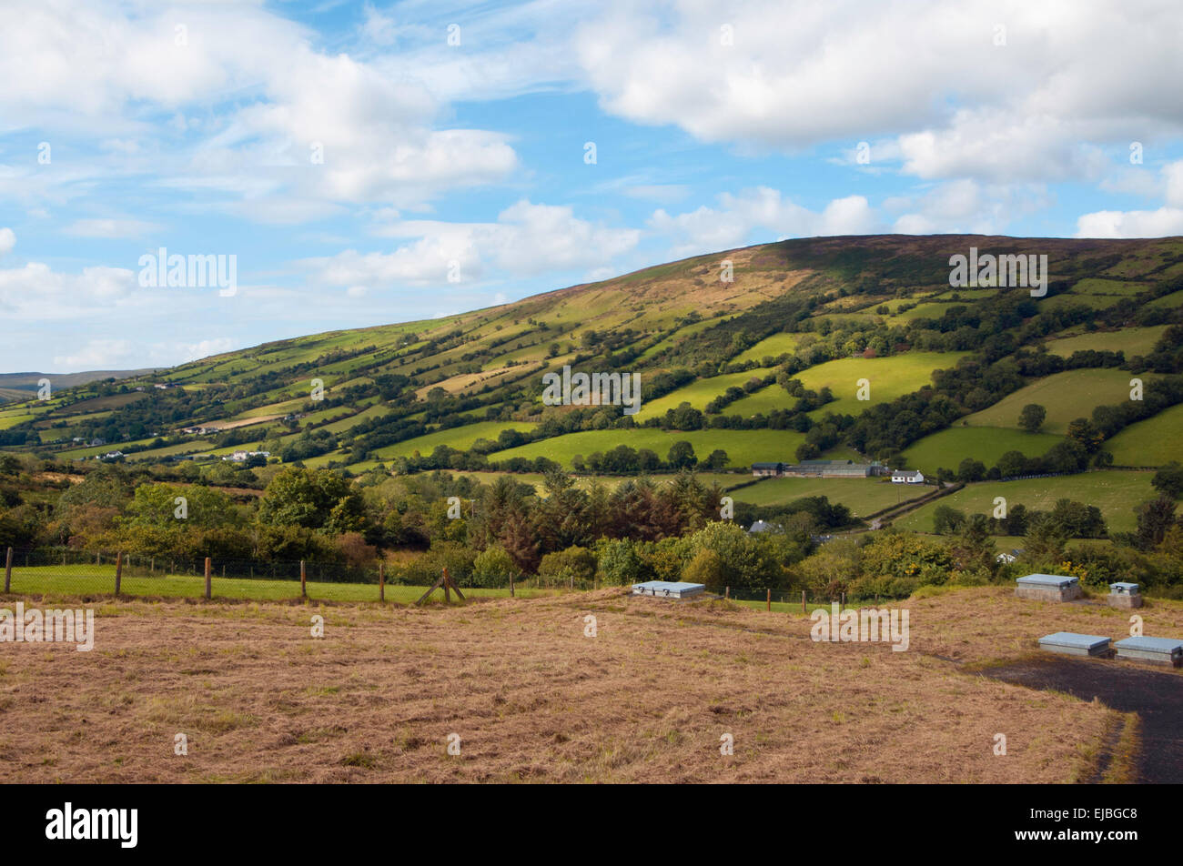 Una vista escénica en Glenariff, uno de los Siete Valles en el Condado de Antrim, Irlanda del Norte Foto de stock