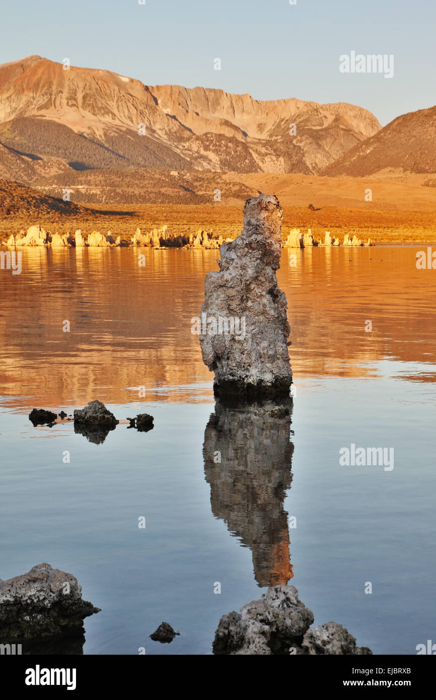 El Lago Mono estalagmitas Foto de stock