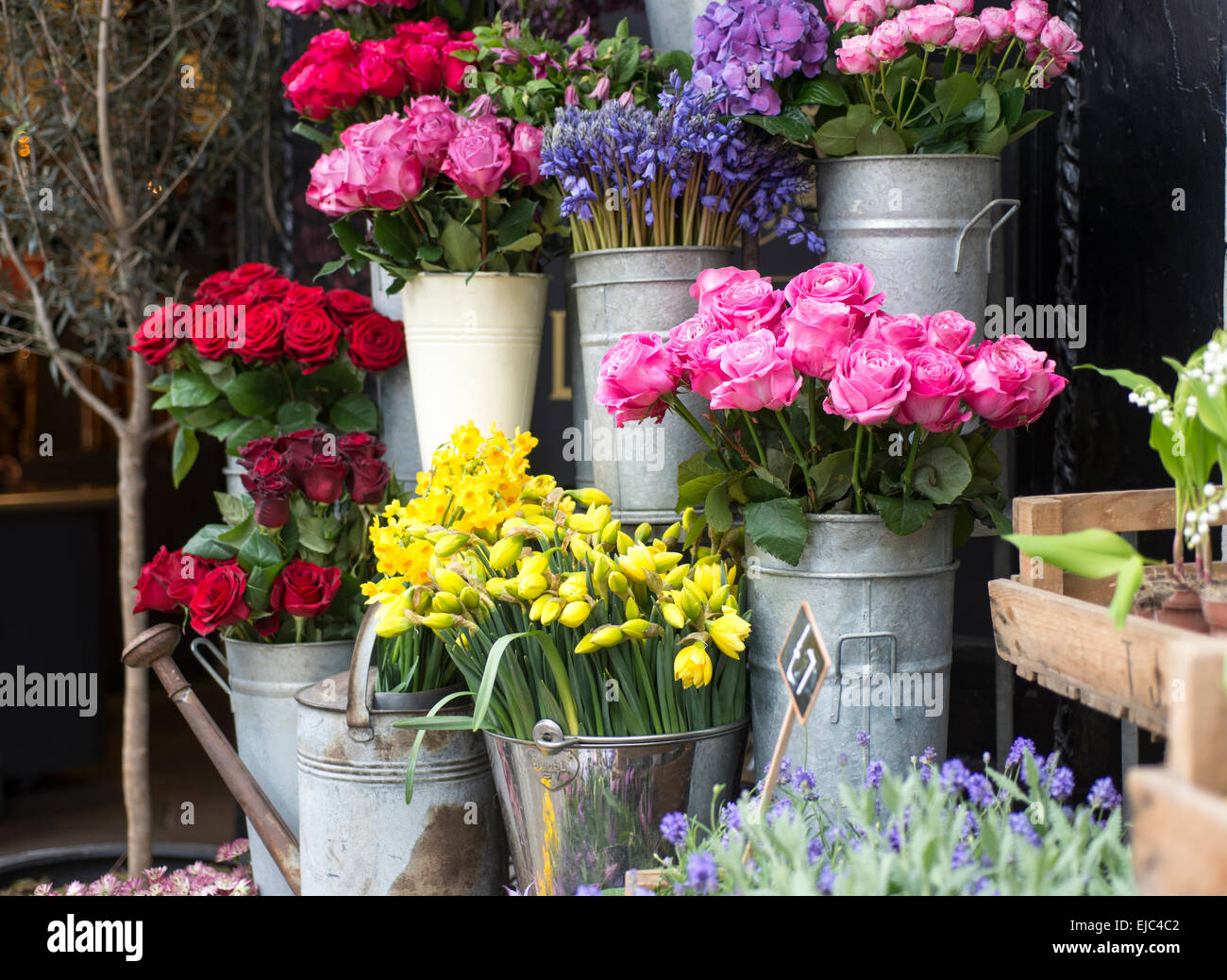 Las campánulas azules, narcisos, rosas y otras flores de primavera en el mercado de Londres Foto de stock